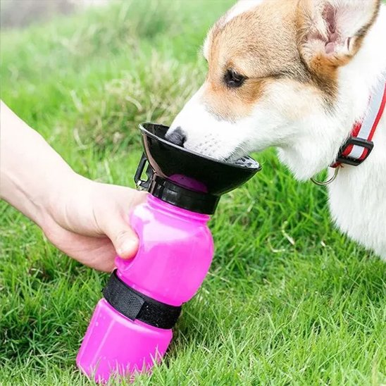 Gourde pour chien​réservoir d'eau intégré avec abreuvoir rétractable