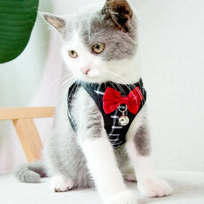 Harnais avec motif de couleur variant confortable pour animal de compagnie. - WOOF TOUT