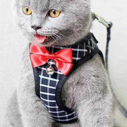 Harnais avec motif de couleur variant confortable pour animal de compagnie. - WOOF TOUT