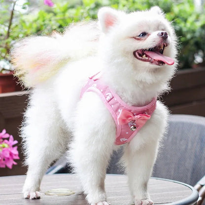 Harnais avec motif de couleur variant confortable pour animal de compagnie. - WOOF TOUT