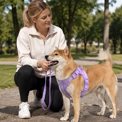 Harnais chien Adapté à différentes races: Convient aux chiens de petite à grande taille 
