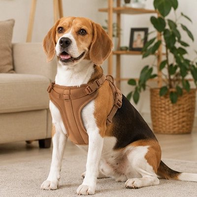 Harnais chien Fermeture à clips rapides: Système de fixation facile 