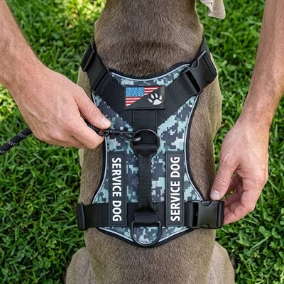 Harnais chien Fixation laisse Anneau métallique dorsal robuste pour attache sécurisée