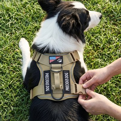 Harnais chien Système de réglage multipoint ajustement optimal différentes morphologies
