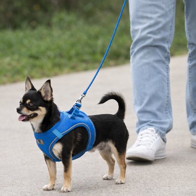 Harnais chiot Offre un confort optimal et prévient les irritations cutanées