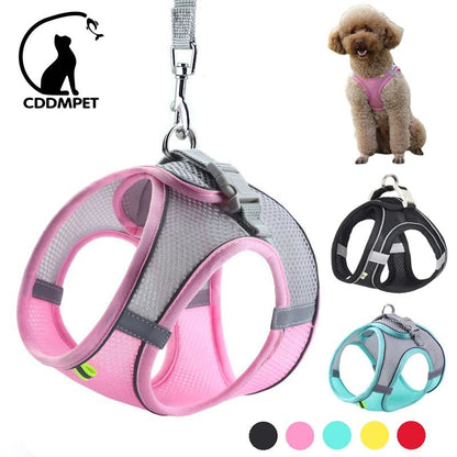 harnais et laisse réglables pour chien - WOOF TOUT