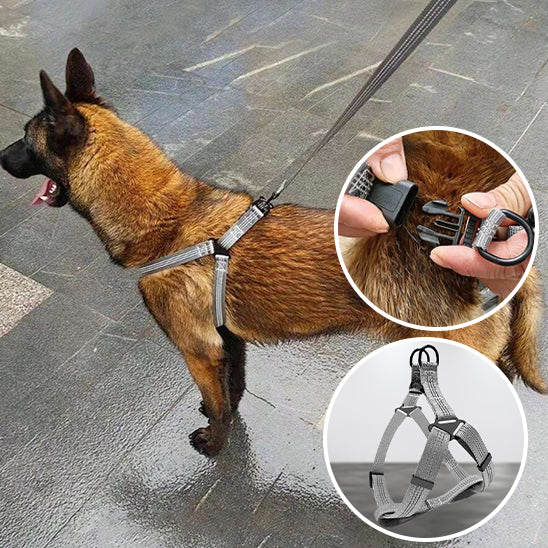 harnais pour chien Ergonomique