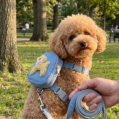 Harnais pour chien Attaches robustes garantissant un maintien fiable et sécurisé durant les activités quotidiennes
