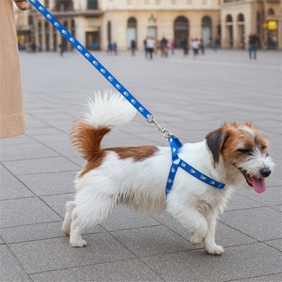 Harnais pour Chien confortable non irritation de long durée