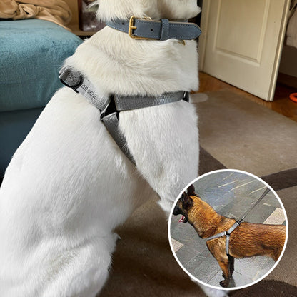 harnais pour chien confortable