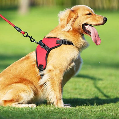 Harnais pour chien Design ergonomique