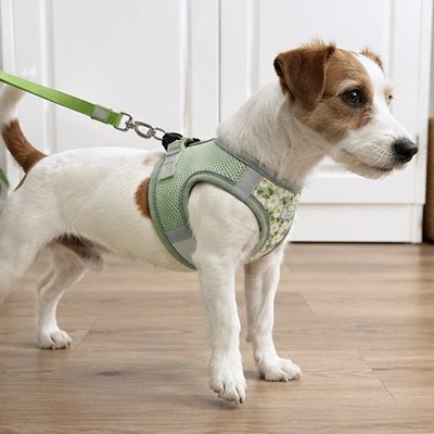 Harnais pour Chien rembourrage intégré couche de mousse au niveau
