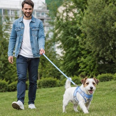 Harnais pour Chien répartit la pression sur le poitrail plutôt que sur le cou
