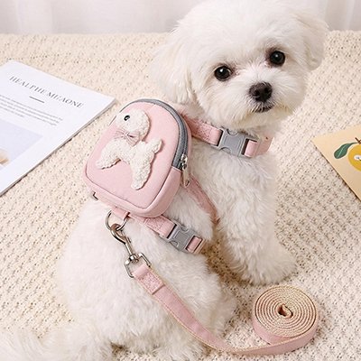 Harnais pour chien Système d'ajustement au niveau du poitrail et du ventre confort optimal adapté à différentes morphologies