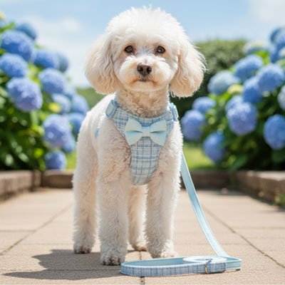 Harnais pour petit Chien Matière respirante: tissu aéré qui assure le confort lors des promenades prolongées