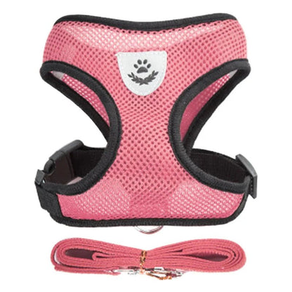 Harnais tres bien pour petits chiens ils sont confortables ne se blesse pas. - WOOF TOUT