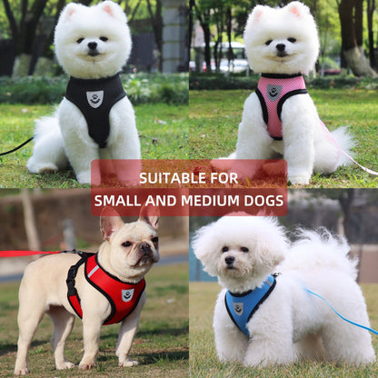 Harnais tres bien pour petits chiens ils sont confortables ne se blesse pas. - WOOF TOUT