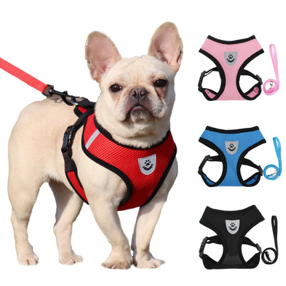 Harnais tres bien pour petits chiens ils sont confortables ne se blesse pas. - WOOF TOUT
