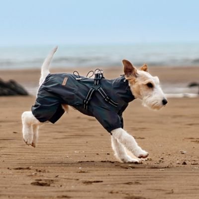 Imperméable pour chien​ Coupe intégrale quatre pattes: Protection complète du corps incluant les pattes 