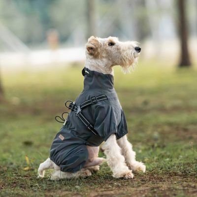 Imperméable pour chien​ Design ergonomique: Coupe anatomique respectant la liberté de mouvement pour courir et jouer sans contrainte