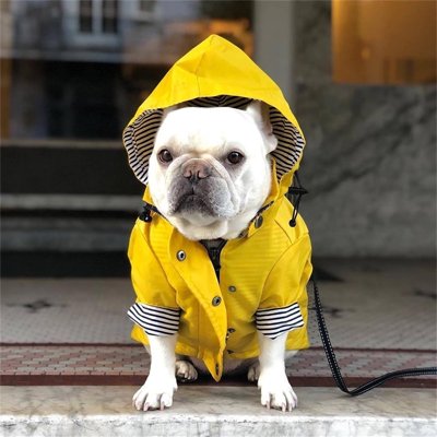 Imperméable pour chien​ Facile d'entretien: Nettoyage simple pour une utilisation durable