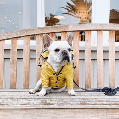Imperméable pour chien​ Fermeture à boutons-pression: Enfilage et retrait rapides 