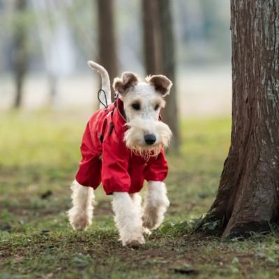 Imperméable pour chien​ Matière technique déperlante: Tissu résistant à l`eau qui maintient le chien au sec lors des sorties par temps pluvieux