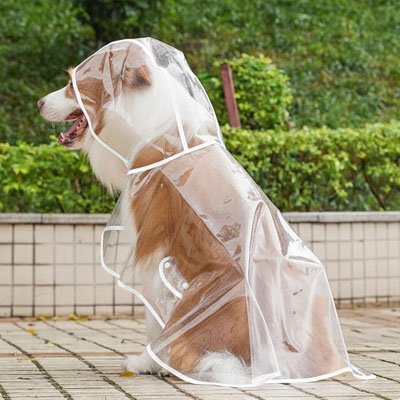 Imperméable pour chien​  protégeant efficacement de pluie Capuche intégrée: Protège la tête et les oreilles