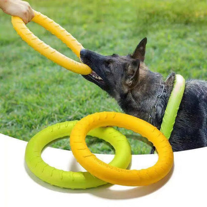 Jeux anneaux pour chien fait de RUBBER bon pour entrainement , les chiens adores . - WOOF TOUT