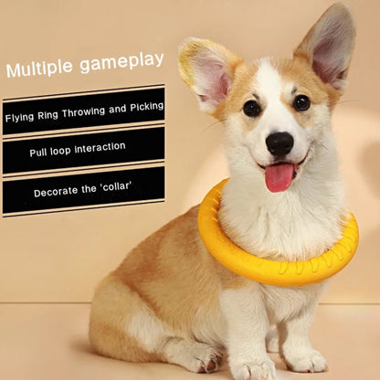 Jeux anneaux pour chien fait de RUBBER bon pour entrainement , les chiens adores . - WOOF TOUT