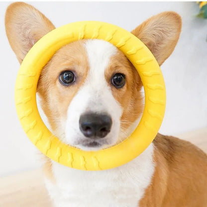 Jeux anneaux pour chien fait de RUBBER bon pour entrainement , les chiens adores . - WOOF TOUT