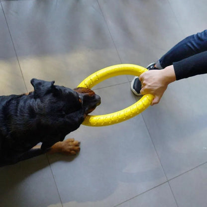 Jeux anneaux pour chien fait de RUBBER bon pour entrainement , les chiens adores . - WOOF TOUT