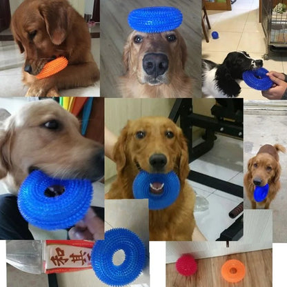 Jeux pour chiens qui aimes bien anneaux de caoutchouc aimes stimuler leurs os de la mâchoir . - WOOF TOUT