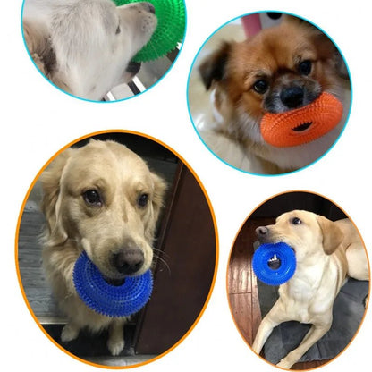 Jeux pour chiens qui aimes bien anneaux de caoutchouc aimes stimuler leurs os de la mâchoir . - WOOF TOUT