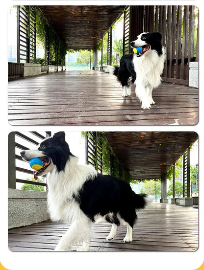 Jouet balle interactive ,livre de nourriture ,bon pour les dents et la mâchoire et durable pour animal de compagnie. - WOOF TOUT