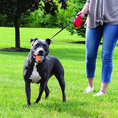 Jouet balle interactive ,livre de nourriture ,bon pour les dents et la mâchoire et durable pour animal de compagnie. - WOOF TOUT