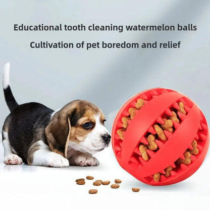 Jouet balle interactive ,livre de nourriture ,bon pour les dents et la mâchoire et durable pour animal de compagnie. - WOOF TOUT