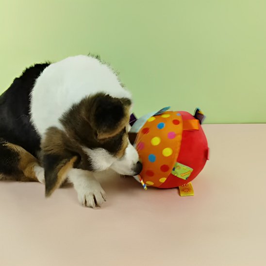 Jouet Chien Développe la coordination et l'éveil du chien