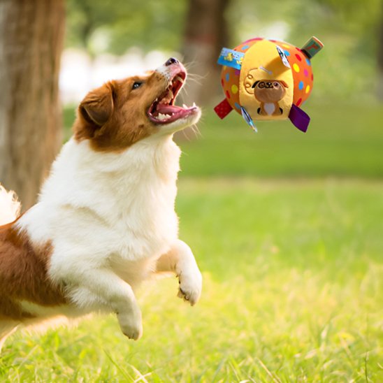 Jouet Chien Favorise la préhension et stimule l'instinct de jeu naturel du chien