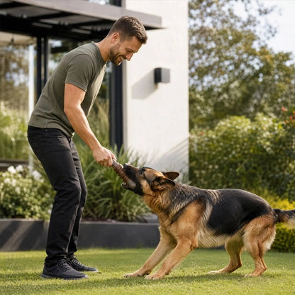 Jouet Chien favorise l'exercice physique et mental du chien