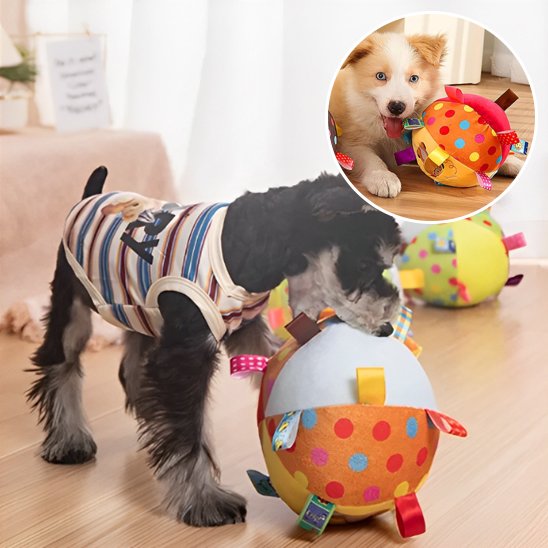 Jouet Chien Garantit une utilisation sécuritaire pour les mâchoires et les dents