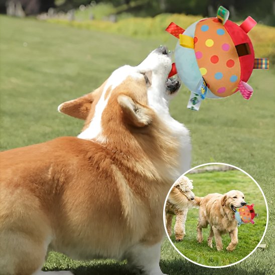 Jouet Chien Permet des lancers faciles et des rebonds imprévisibles