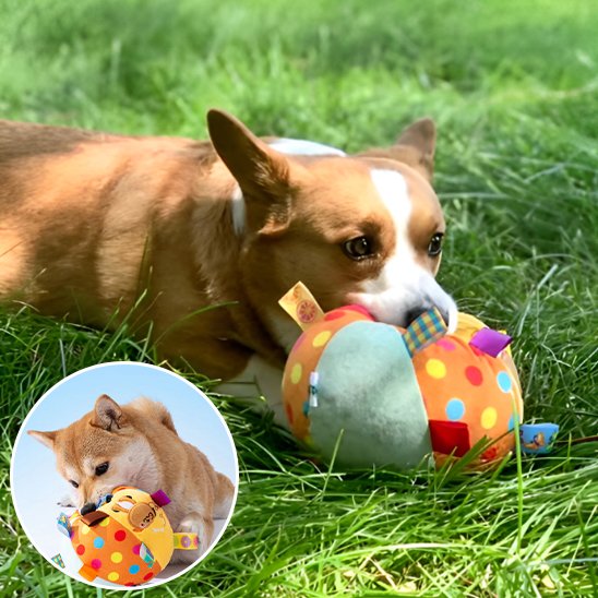 Jouet Chien Supporte les morsures répétées et le jeu intensif