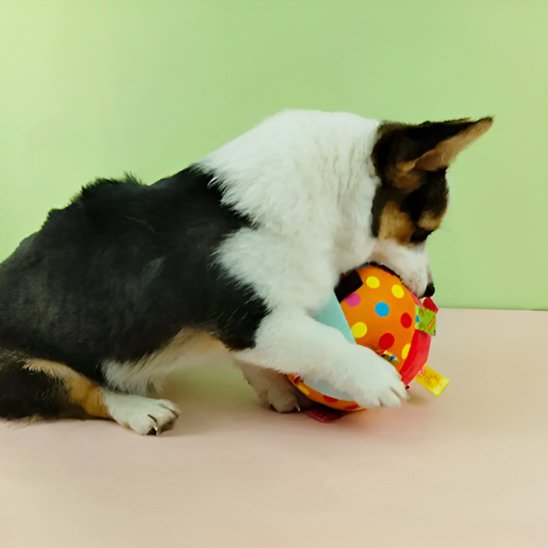 Jouet Chien Utilisable par petits et moyens chiens selon le modèle