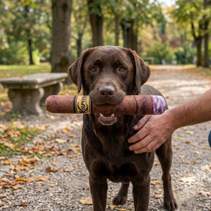 Jouet pour chien​ Matériau lavable pour maintenir une hygiène optimale lors de l'utilisation quotidienne