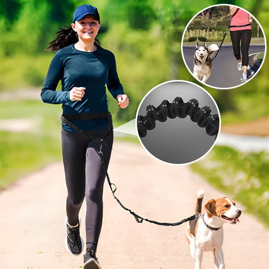 Laisse canicross Ceinture ajustable avec attache: se fixe solidement autour de la taille pour une répartition optimale de la force de traction