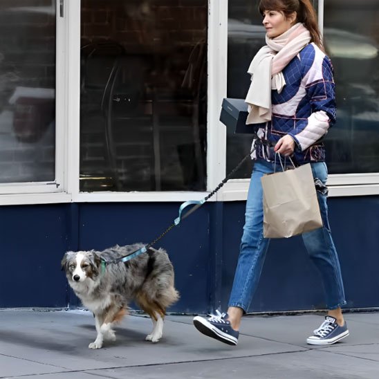 Laisse canicross  Longueur extensible: s'adapte automatiquement au rythme et à la distance  le chien et son maître 