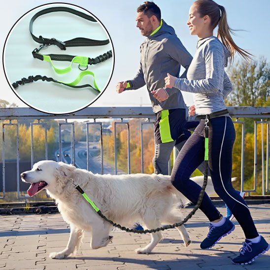Laisse canicross Polyvalence d'usage: convient pour le jogging, la marche, le canicross et les activités sportives avec son chien