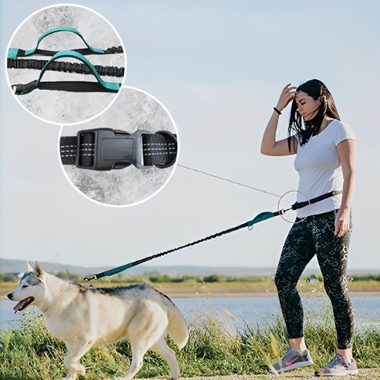 Laisse canicross réfléchissante double élastique