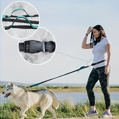 Laisse canicross réfléchissante double élastique
